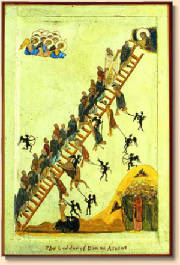 ladder1.jpg