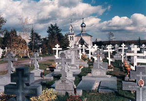 p28_b.jpg